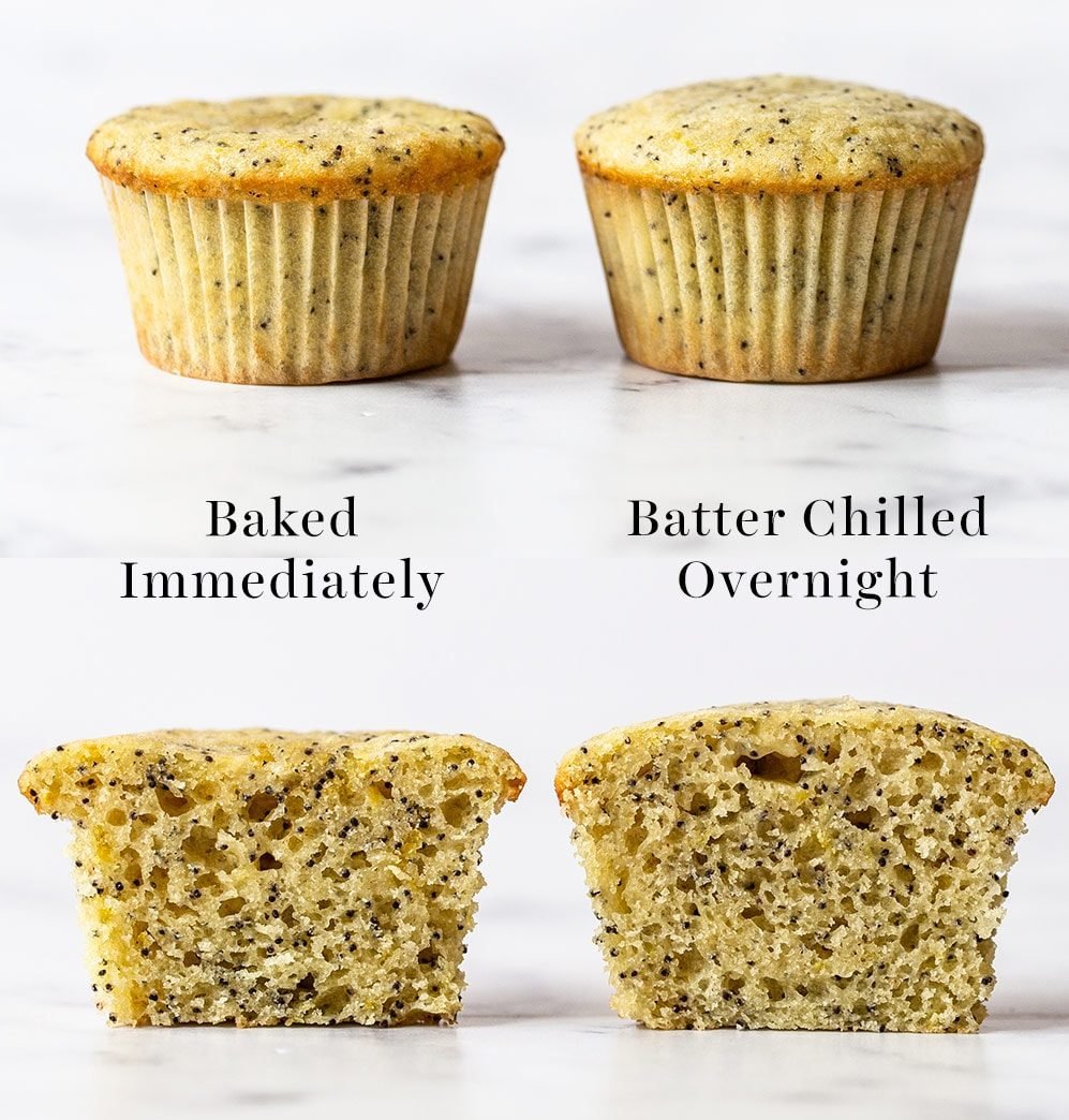 comparison of two lemon muffins where the batter was chilled before baking, vs batter not chilled before baking.