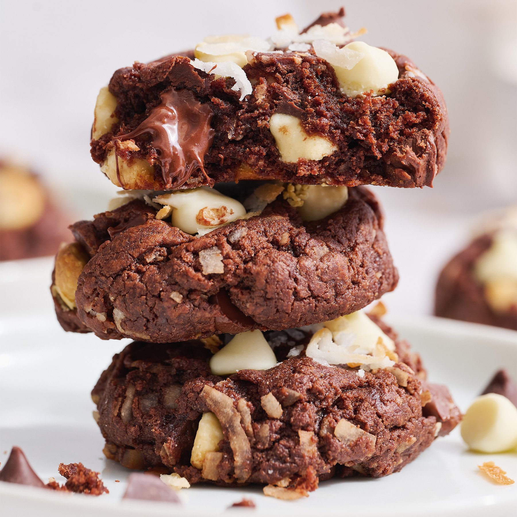 Chocolate Coconut Cookies