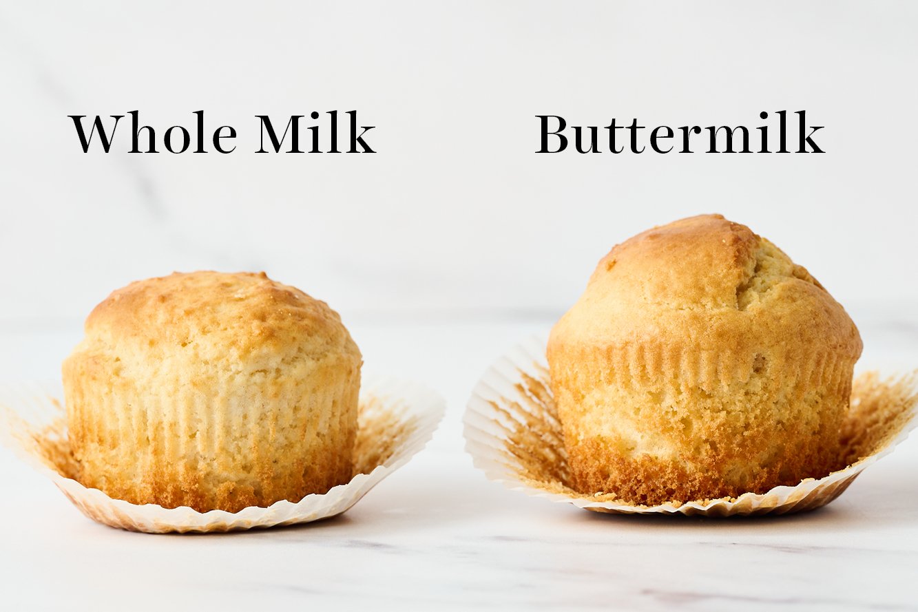 two muffins beside each other, one made with whole milk and one made with buttermilk, with the muffin liners pulled down to see the structure of the muffin better